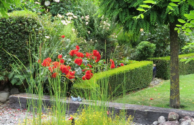 Marchmont Gardens - Foto 16