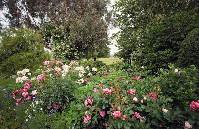 Marchmont Gardens - Foto 23