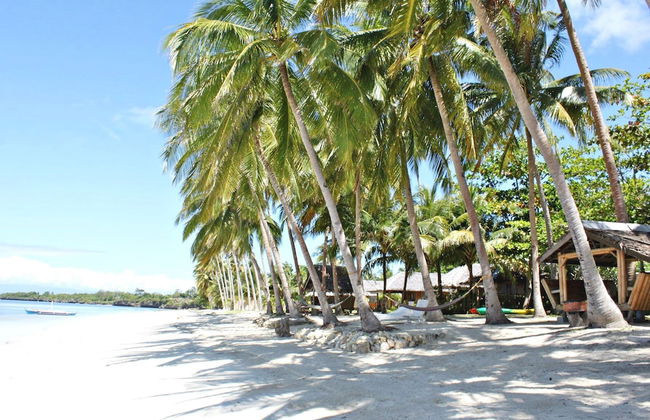 The Bruce Resort - Foto 44