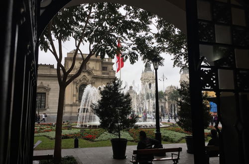 Photo 15 - Best in Lima