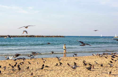 Photo 30 - Premium suites on Beach Ben Yehuda 43