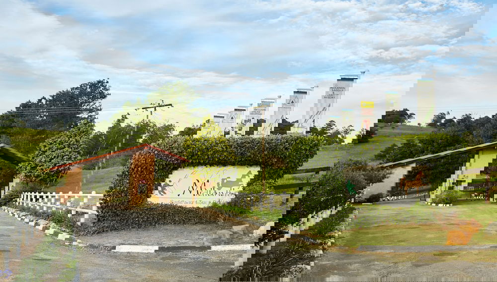 Image principale