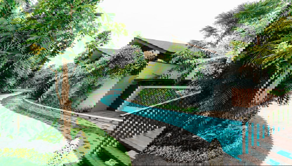 Image principale
