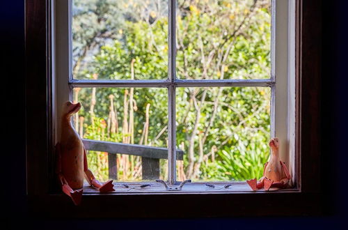 Photo 37 - Cubby House Stay - Kaikoura