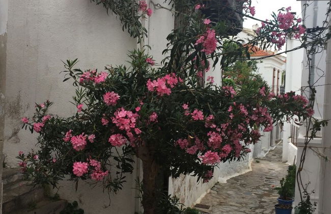 Maison De Ville A Skopelos - Photo 23