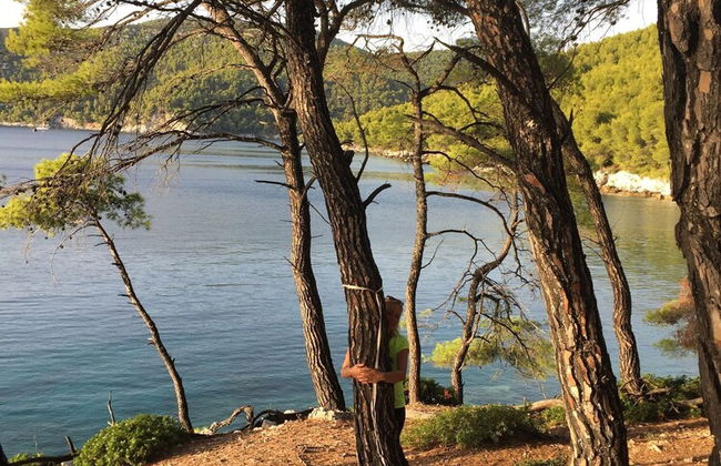 Maison De Ville A Skopelos - Photo 12