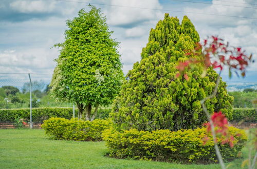 Foto 6 - Hacienda Araucaria Habitacion 10