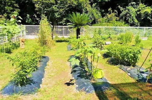 Photo 18 - Kitchen Garden