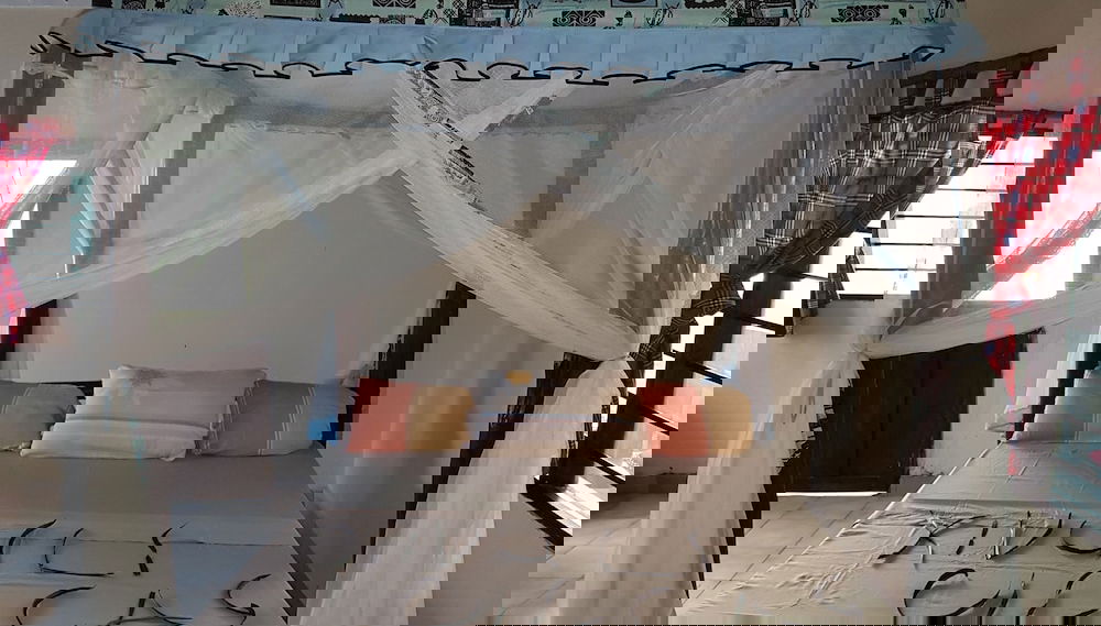 Imagem principal