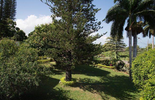 Hatfield South Villa - Foto 35