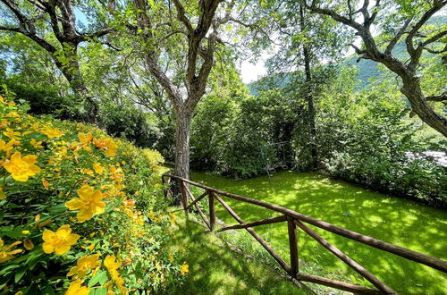 Photo 77 - Spoleto Splash : Cisterna/sleeps 2/3/wifi/aircon - Cute With Beautiful Garden