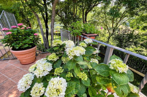 Foto 64 - Spoleto Splash:casa Piscina/slps 4/wifi/dishwasher - Very Pretty Setting nr Pool