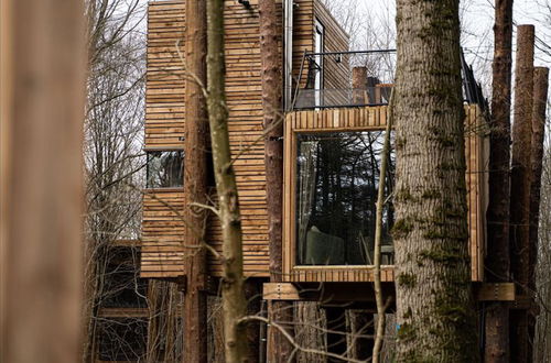 Photo 12 - Adventure in Nature Tree Loft for 4 People 2