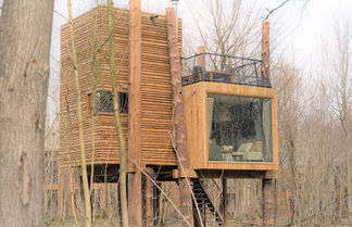 Foto 2 - Adventure in Nature Tree Loft for 4 People 2