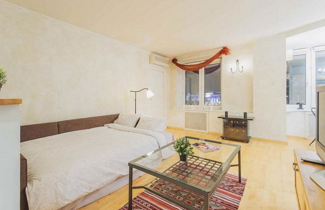 GM Apartment Smolenskaya 10 - Foto 19