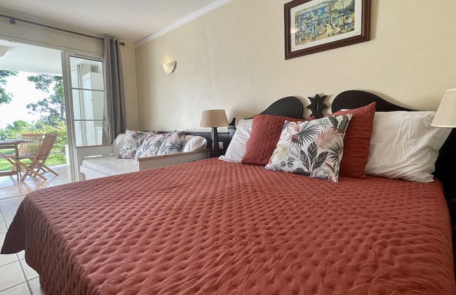 Barbadine - Resorts Flats - Sainte Anne - Foto 14