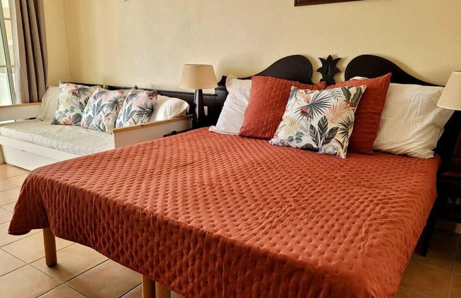 Barbadine - Resorts Flats - Sainte Anne - Foto 51