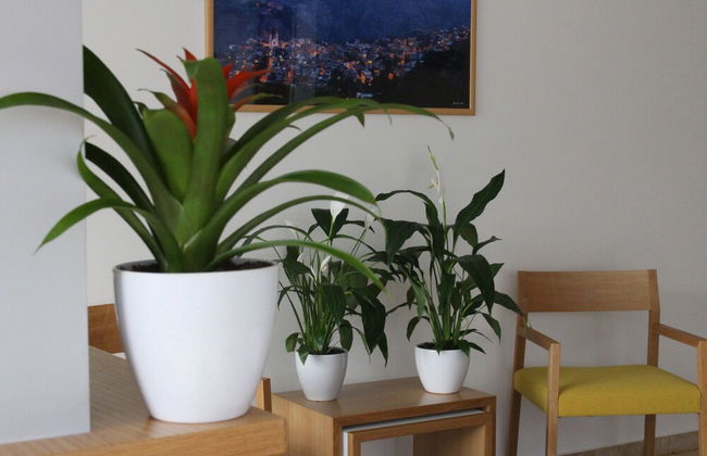 Grey Pearls Suites - Foto 32