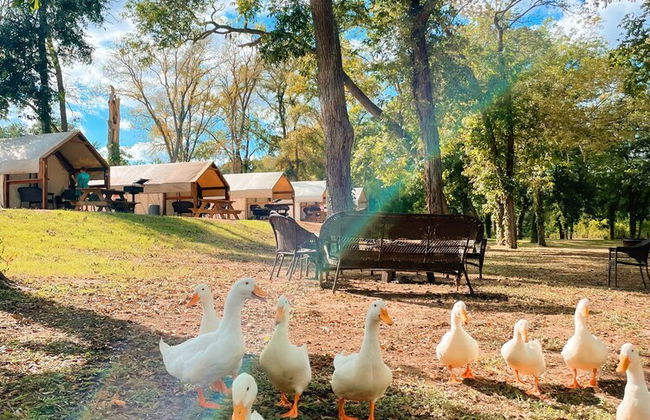 14 Blue River Camp - Glamping Cabin - Foto 53