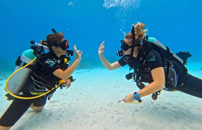 Bloozz resort Bonaire - Photo 78