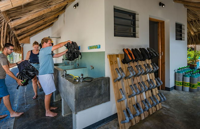 Bloozz resort Bonaire - Photo 79