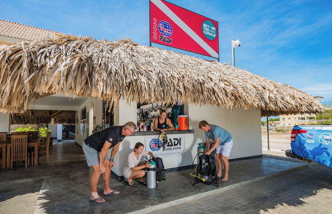 Bloozz resort Bonaire - Photo 75