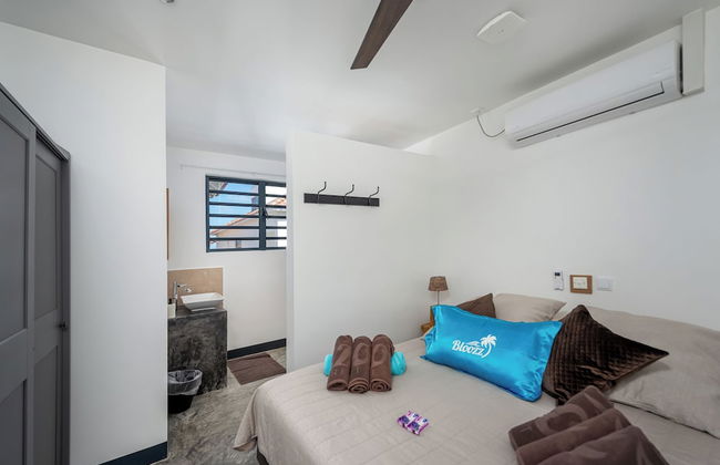 Bloozz resort Bonaire - Photo 10