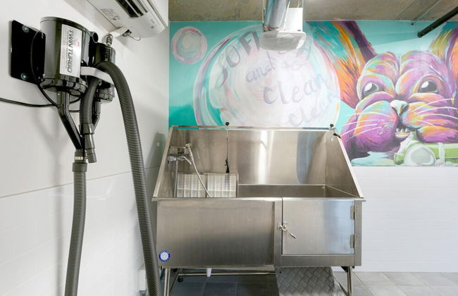 S1bk Affordable Hotel-alternative Perfect for Long Term Stay Near Whole Foods - Foto 33