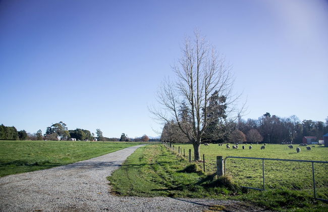 Coldstream Estate - The Whare - Foto 22