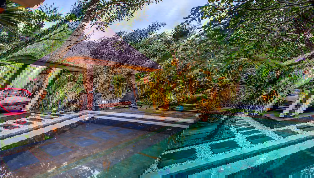 Imagem principal