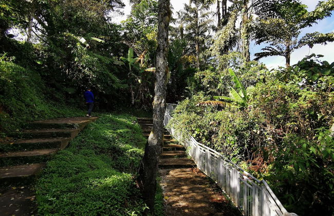 The Woodz Homestay - Photo 65