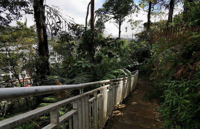 The Woodz Homestay - Photo 66