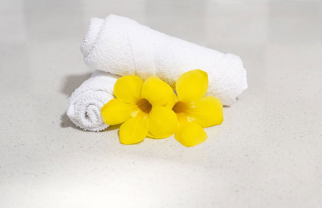 Creole Breeze Self Catering Apartments - Foto 17