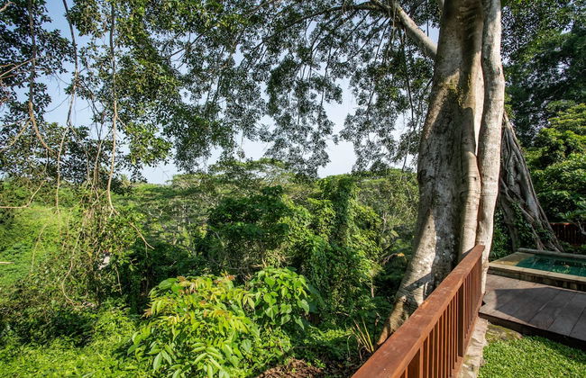 Luxury Jungle Villa, 3 BR, Ubud With Staff - Foto 79