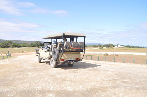 Photo 11 - De Hoop Equipped Cottages