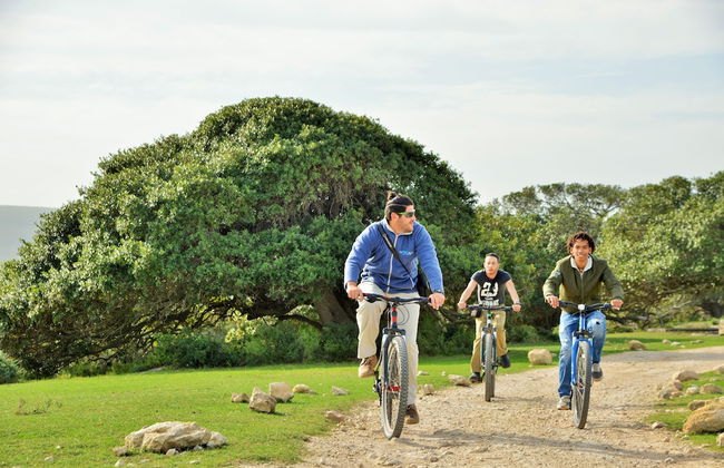 De Hoop Equipped Cottages - Photo 9