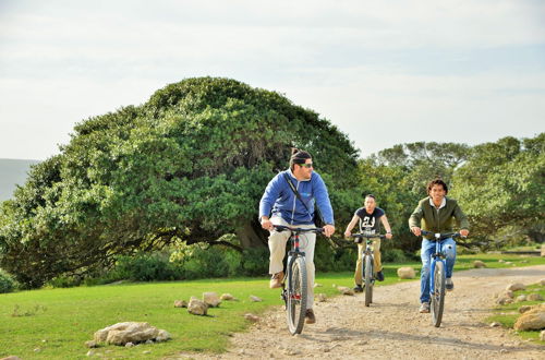 Photo 9 - De Hoop Equipped Cottages