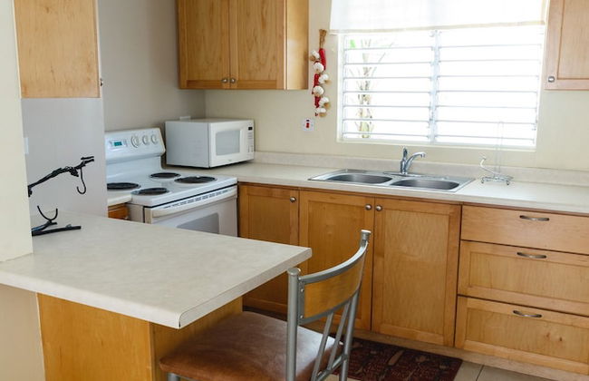New Kingston Guest Apartment VII - Photo 11