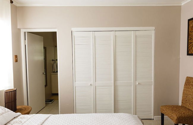 New Kingston Guest Apartment VII - Photo 5