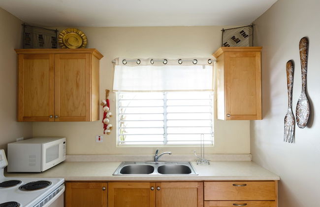 New Kingston Guest Apartment VII - Photo 12