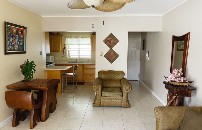 New Kingston Guest Apartment VII - Photo 4