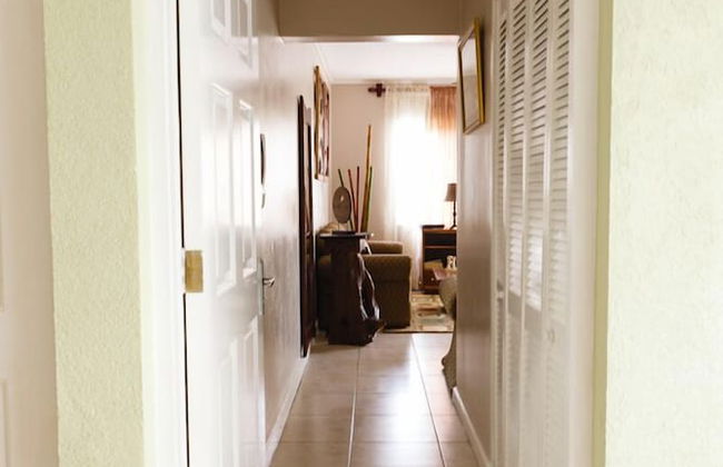 New Kingston Guest Apartment VII - Photo 16