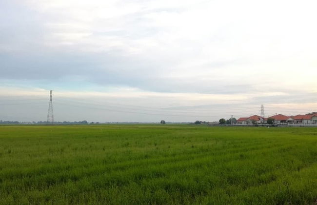 KKP Homestay Alor Setar - Foto 23