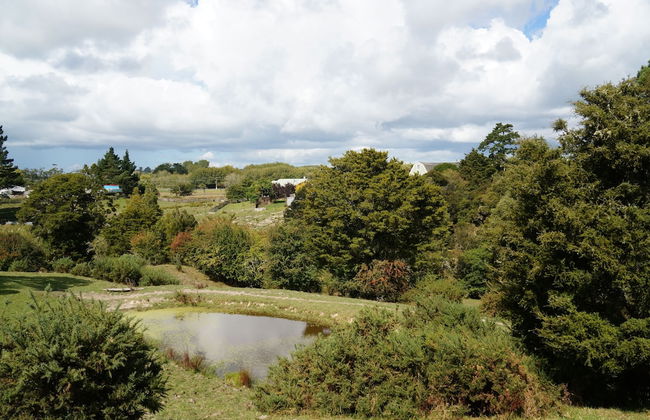 Silver Waters Lodge - Foto 66