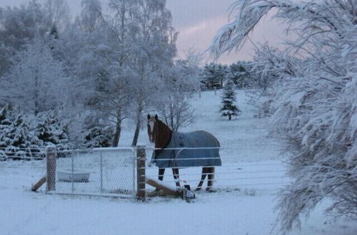 Photo 63 - Mirabell Chalets