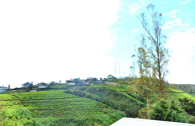 The Rosedale Grand Nuwara Eliya - Foto 57