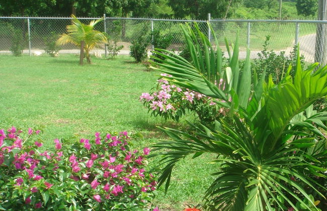 Friars Hill Cottage - Foto 6