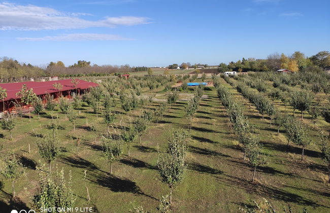 Salas Farma 47 - Foto 47