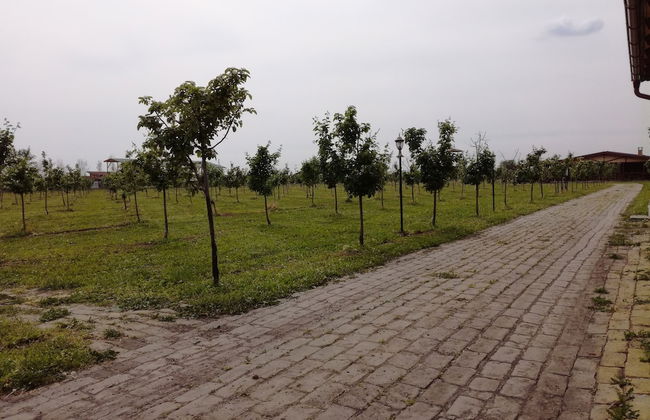 Salas Farma 47 - Foto 22