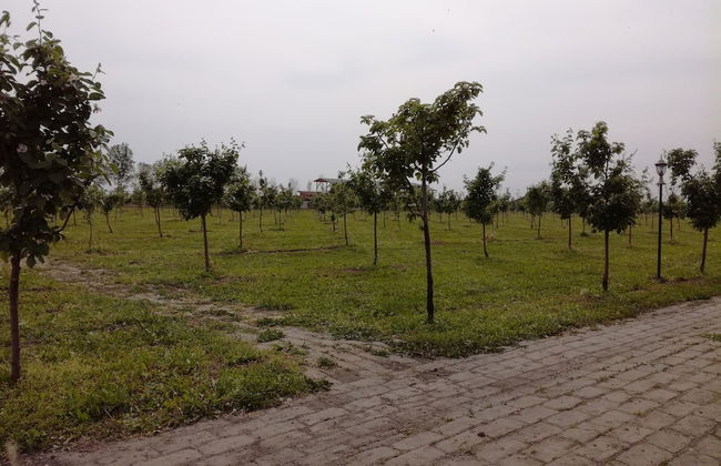 Salas Farma 47 - Foto 40